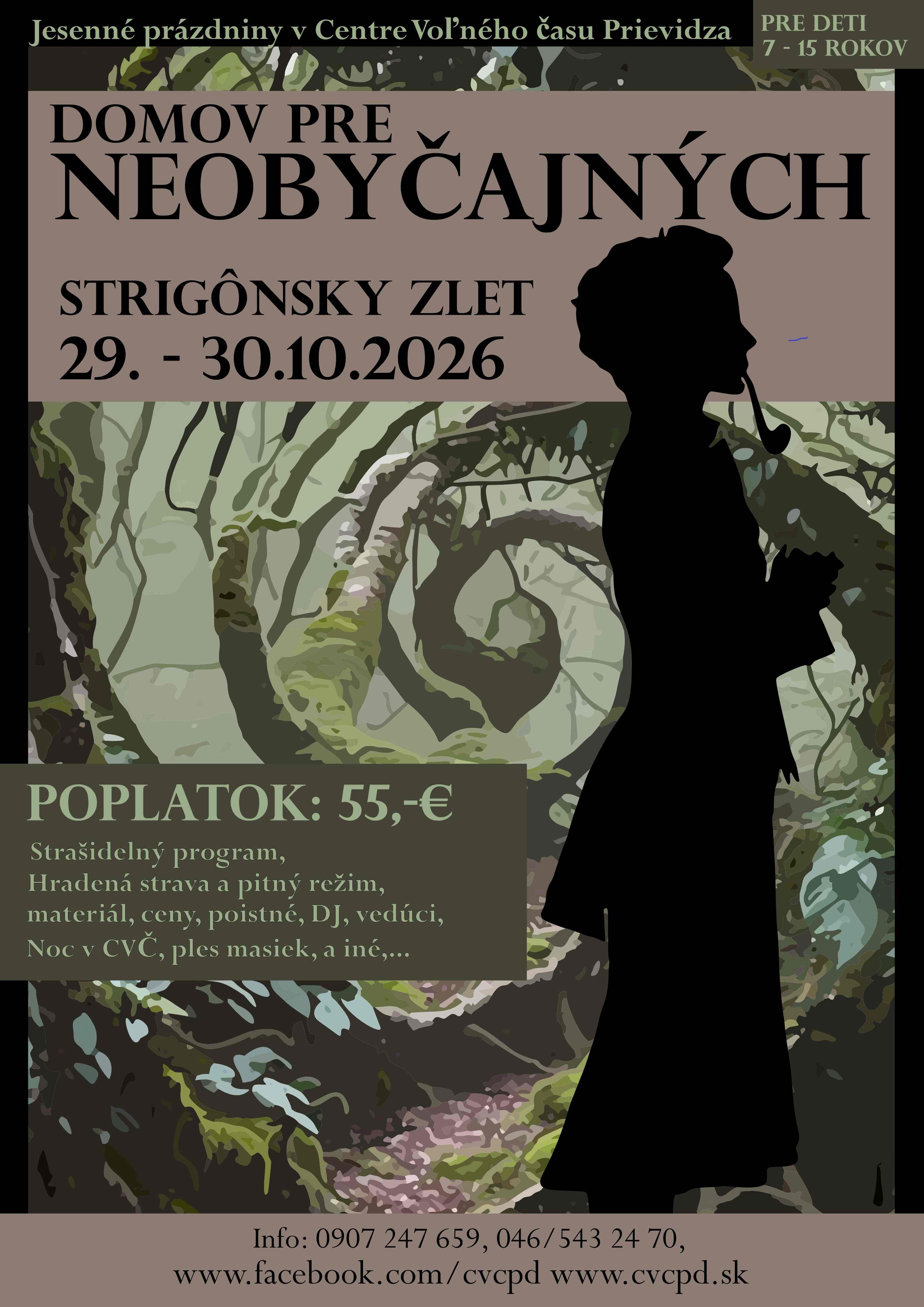 strigac 26 plagat final